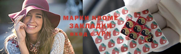 PSILOCYBIN Алзамай