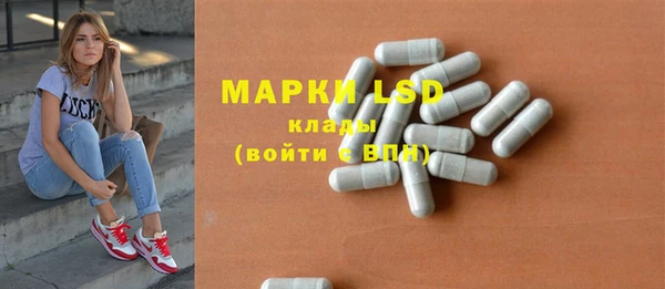 PSILOCYBIN Алзамай