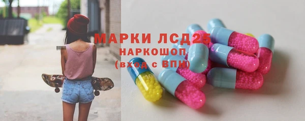 PSILOCYBIN Алзамай