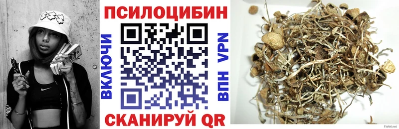 что такое наркотик  Аргун  mega сайт  Псилоцибиновые грибы прущие грибы 